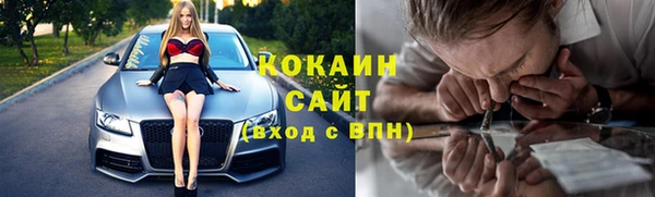 ПСИЛОЦИБИНОВЫЕ ГРИБЫ Арсеньев