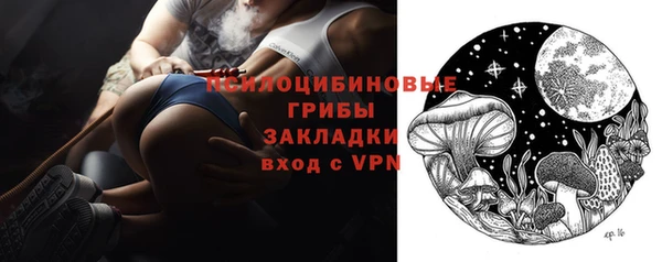 ПСИЛОЦИБИНОВЫЕ ГРИБЫ Арсеньев