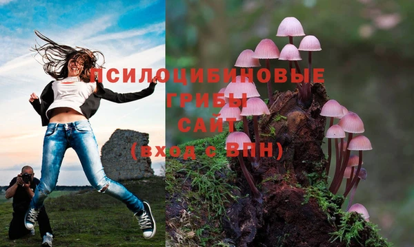наркотики Аркадак