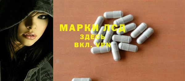 ПСИЛОЦИБИНОВЫЕ ГРИБЫ Арсеньев