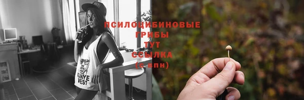 дмт Армянск