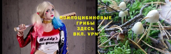 ПСИЛОЦИБИНОВЫЕ ГРИБЫ Арсеньев