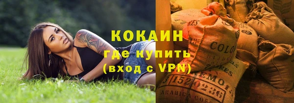 ПСИЛОЦИБИНОВЫЕ ГРИБЫ Арсеньев