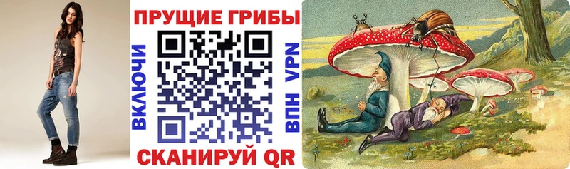 Галлюциногенные грибы Psilocybe  Мглин 