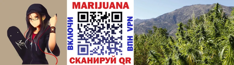 Бошки Шишки THC 21%  дарнет шоп  Мглин 